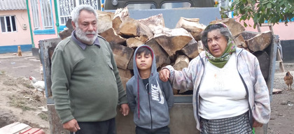 Hout