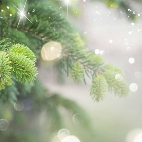 Winterfair zaterdag 29 november