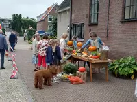 Zomerfair 11 september 2021